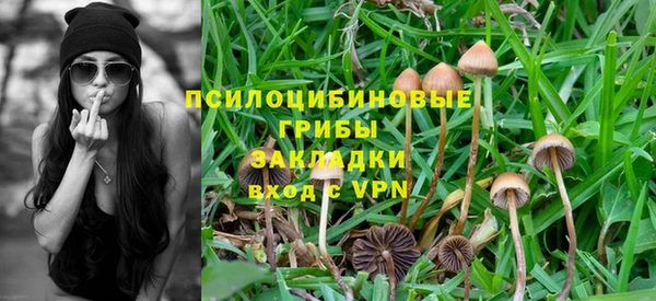 винт Алзамай