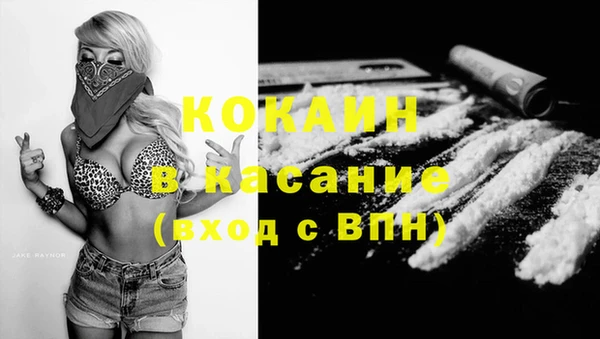 винт Алзамай