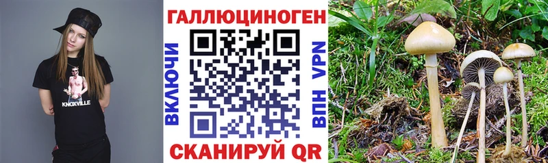 Псилоцибиновые грибы GOLDEN TEACHER  Кулебаки 
