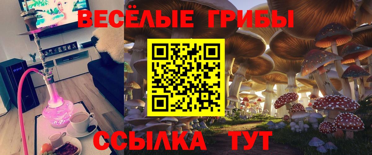 Псилоцибиновые грибы MAGIC MUSHROOMS  Вход с VPN  Кулебаки 
